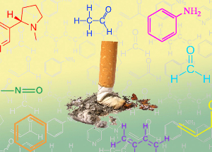 NicoZero bloquea la sensibilidad de los receptores a la nicotina